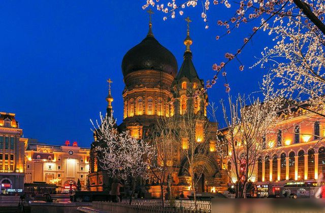 {賭馬}(哈尔滨市旅游局副局长)