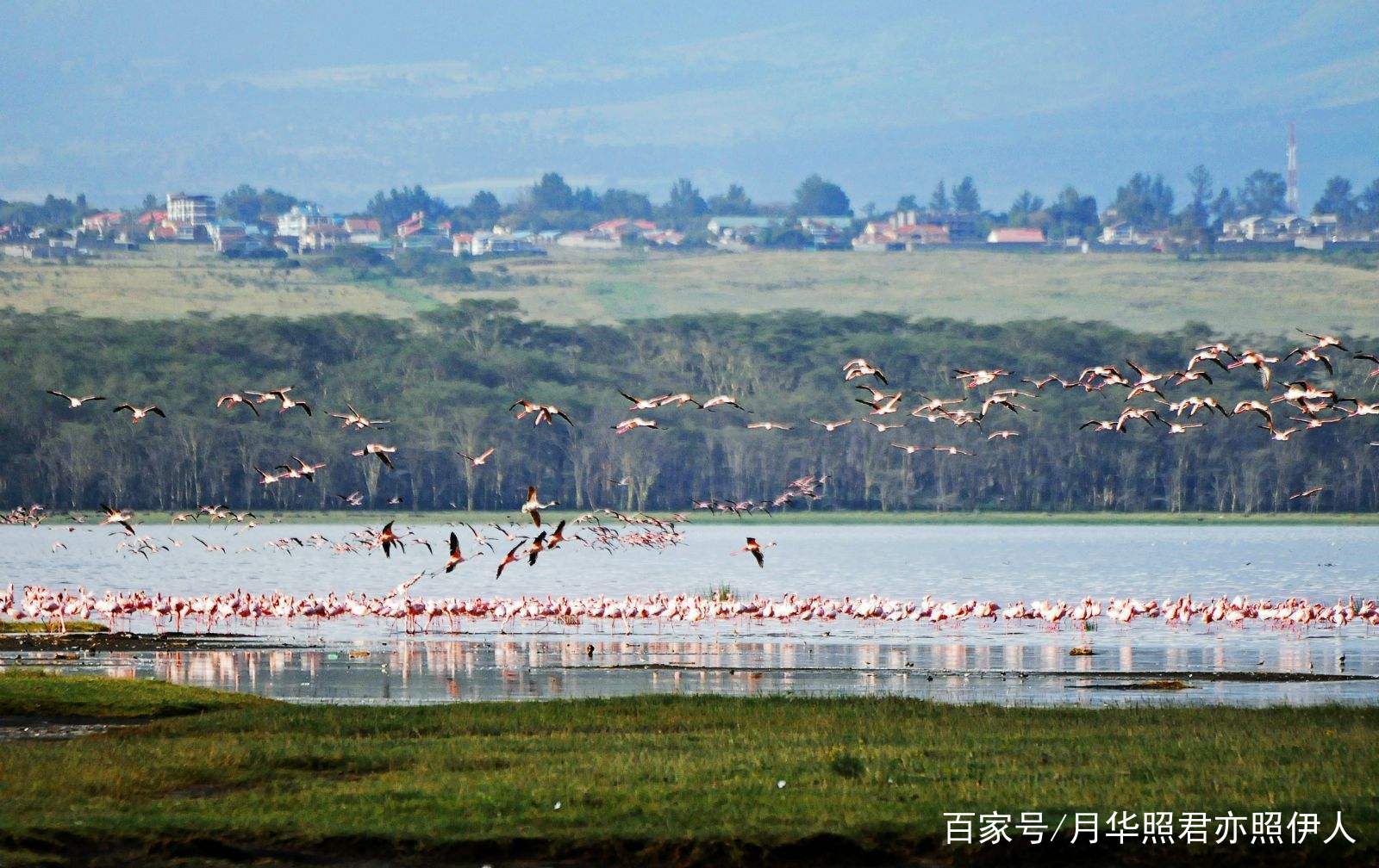 {老虎機}(坦桑尼亚肯尼亚旅游价格)