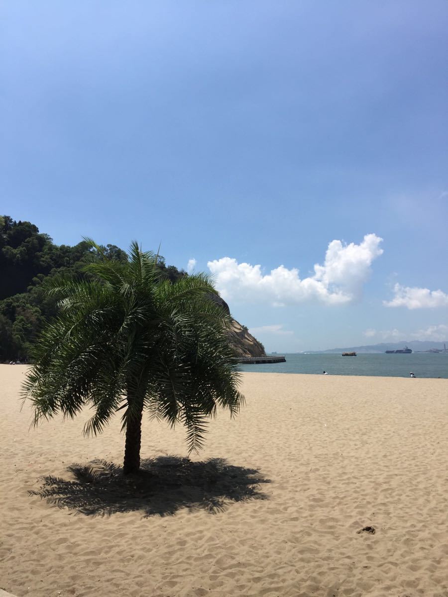 {六合彩}(鼓浪屿旅游攻略自由行攻略)